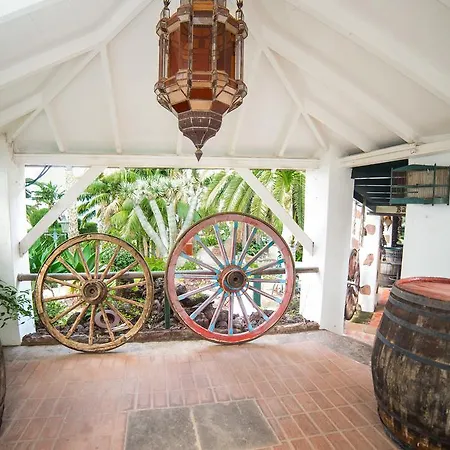 Los Pinos Villa La Matanza De Acentejo